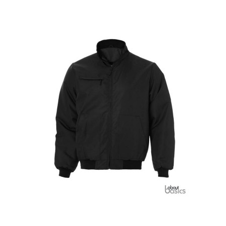 fly_00104_black