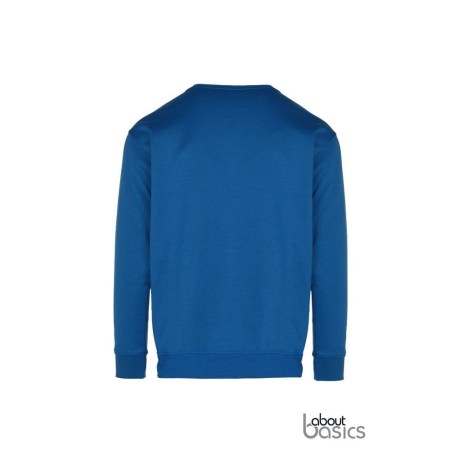 ghost_00141_royal_blue_back