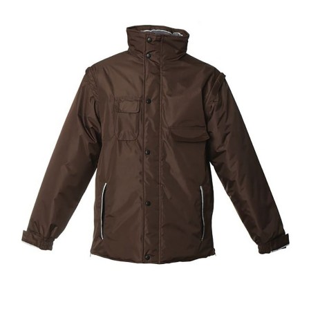 jrc-montecarlo-brown