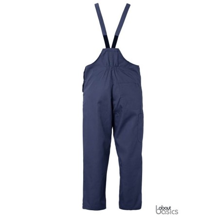 paint_00123_navy_back