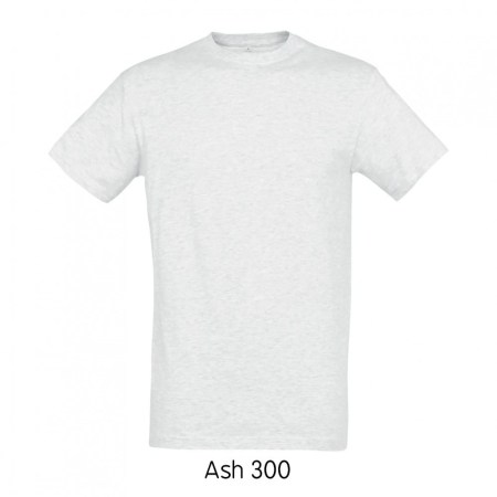 sol-regent-11380-ash