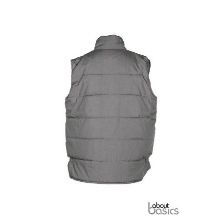 tiger_00124_grey_back