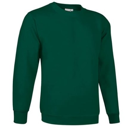 Φούτερ μπλούζα Βαριά 300γρ (VL 55440 Dublin) - Κυπαρισσί - Bottle Green