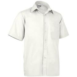 Vl 56020 Oporto Poukamiso Kontomaniko Ivory White