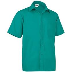 Vl 56020 Oporto Poukamiso Kontomaniko Surgery Green