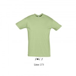 Sols Regent 11380 Lime 273