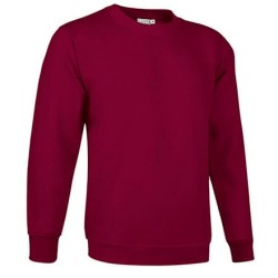 Φούτερ μπλούζα Βαριά 300γρ (VL 55440 Dublin) - Μπορντό - Mahogany Garnet