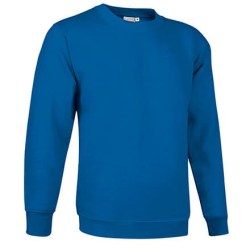 Φούτερ μπλούζα Βαριά 300γρ (VL 55440 Dublin) - Μπλε Ρουά - Royal Blue