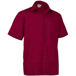 Vl 56020 Oporto Poukamiso Kontomaniko Mahogany Garnet
